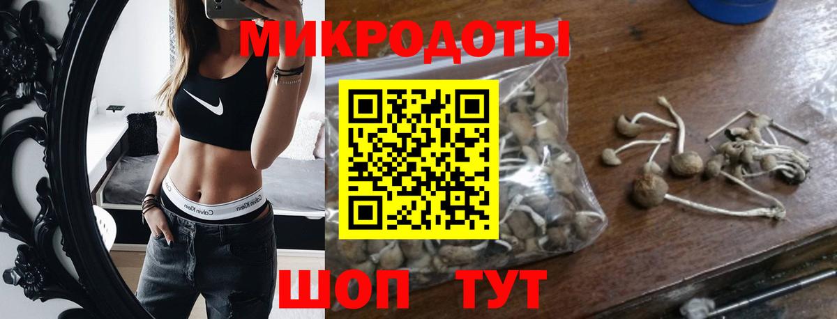 Оренбург  Псилоцибиновые грибы Cubensis  Псилоцибиновые грибы Cubensis  Вход с VPN 